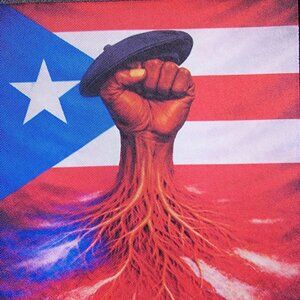 Afro Puerto Rican Iron On Patch